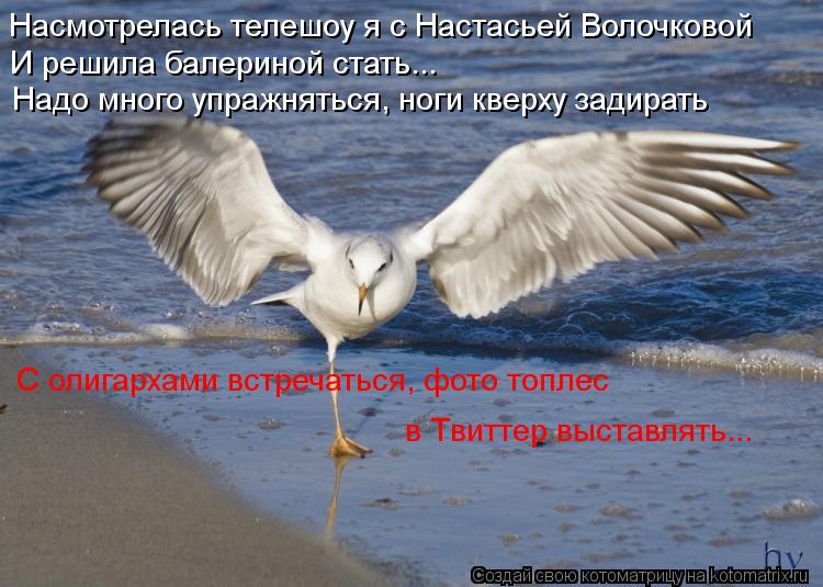 Насмотрелась телешоу я с Настасьей Волочковой И решила балериной стать... Надо много упражняться, ног... Котоматрица: Насмотрелась телешоу я с Настасьей Волочковой И решила балериной стать... Надо много упражняться, ноги кверху задирать С олигархами встреч