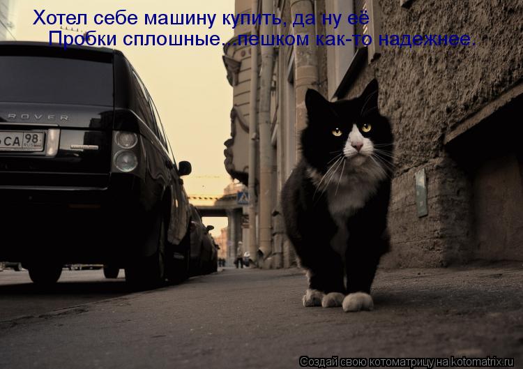 Хотел себе машину купить, да ну её Пробки сплошные...пешком как-то надежнее.... Котоматрица: Хотел себе машину купить, да ну её Пробки сплошные...пешком как-то надежнее.