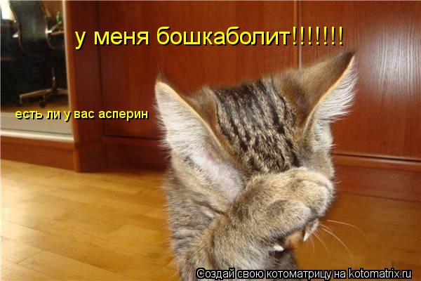 у меня бошкаболит!!!!!!! есть ли у вас асперин... Котоматрица: у меня бошкаболит!!!!!!! есть ли у вас асперин