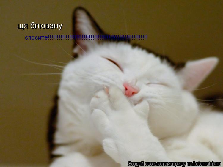 щя блювану спосите!!!!!!!!!!!!!!!!!!!!!!!!!!!!!!!!!!!!!!!!!!!!!!!!!!!!!!!!... Котоматрица: щя блювану спосите!!!!!!!!!!!!!!!!!!!!!!!!!!!!!!!!!!!!!!!!!!!!!!!!!!!!!!!!