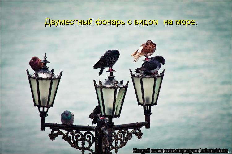 Двуместный фонарь с видом на море.... Котоматрица: Двуместный фонарь с видом на море.