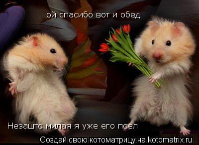 ой спасибо вот и обед Незашто милая я уже его поел... Котоматрица: ой спасибо вот и обед Незашто милая я уже его поел