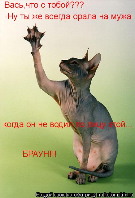 Вась,что с тобой??? -Ну ты же всегда орала на мужа когда он не водил по лицу этой... БРАУН!!!... Котоматрица: Вась,что с тобой??? -Ну ты же всегда орала на мужа когда он не водил по лицу этой... БРАУН!!!