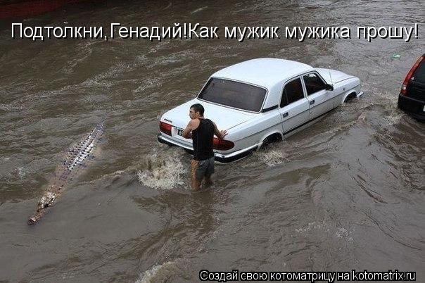 Подтолкни,Генадий!Как мужик мужика прошу!... Котоматрица: Подтолкни,Генадий!Как мужик мужика прошу!
