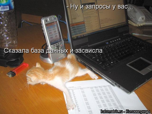 - Ну и запросы у вас... Сказала база данных и засвисла... Котоматрица: - Ну и запросы у вас... Сказала база данных и засвисла