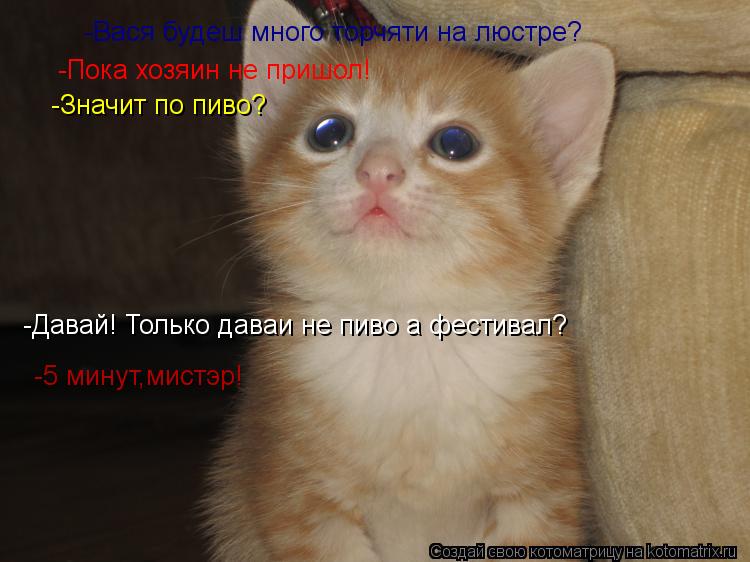 -Вася будеш много торчяти на люстре? -Пока хозяин не пришол! -Значит по пиво? -Давай! Только даваи не... Котоматрица: -Вася будеш много торчяти на люстре? -Пока хозяин не пришол! -Значит по пиво? -Давай! Только даваи не пиво а фестивал? -5 минут,мистэр!