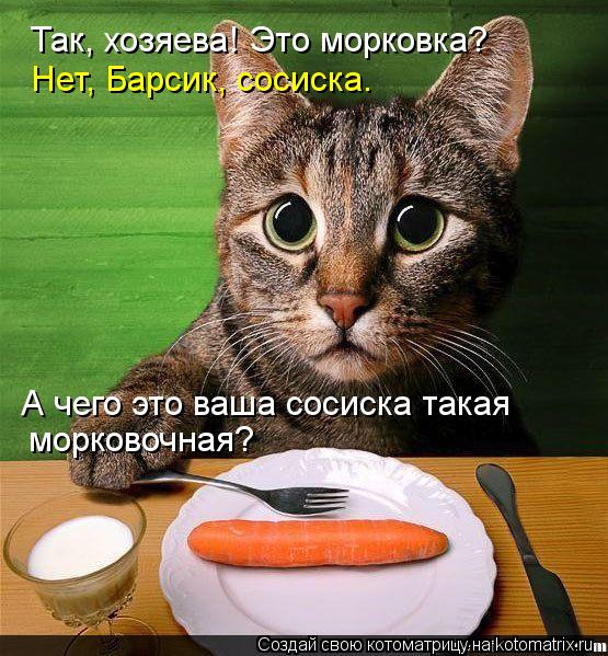 Так, хозяева! Это морковка? Нет, Барсик, сосиска. А чего это ваша сосиска такая морковочная?... Котоматрица: Так, хозяева! Это морковка? Нет, Барсик, сосиска. А чего это ваша сосиска такая морковочная?