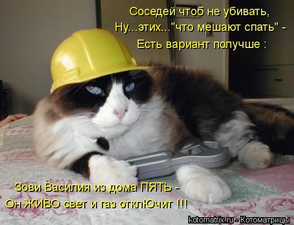 Соседей чтоб не убивать, Ну...этих..."что мешают спать" - Есть вариант получше : Зови Василия из дома... Котоматрица: Соседей чтоб не убивать, Ну...этих..."что мешают спать" - Есть вариант получше : Зови Василия из дома ПЯТЬ - Он ЖИВО свет и газ отклЮчит !!!