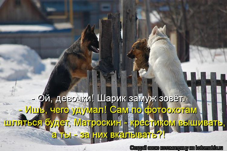 - Ой, девочки! Шарик замуж зовёт. - Ишь, чего удумал! Сам по фотоохотам шляться будет, Матроскин - к... Котоматрица: - Ой, девочки! Шарик замуж зовёт. - Ишь, чего удумал! Сам по фотоохотам шляться будет, Матроскин - крестиком вышивать, а ты - за них вкалывать?!