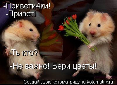 Котоматрица: -Привети4ки! -Привет! -Ть кто? -Не важно! Бери цветы!