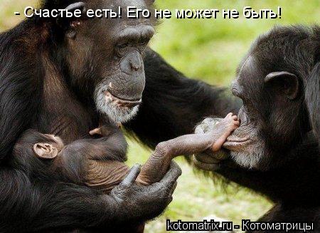 Котоматрица: - Счастье есть! Его не может не быть!