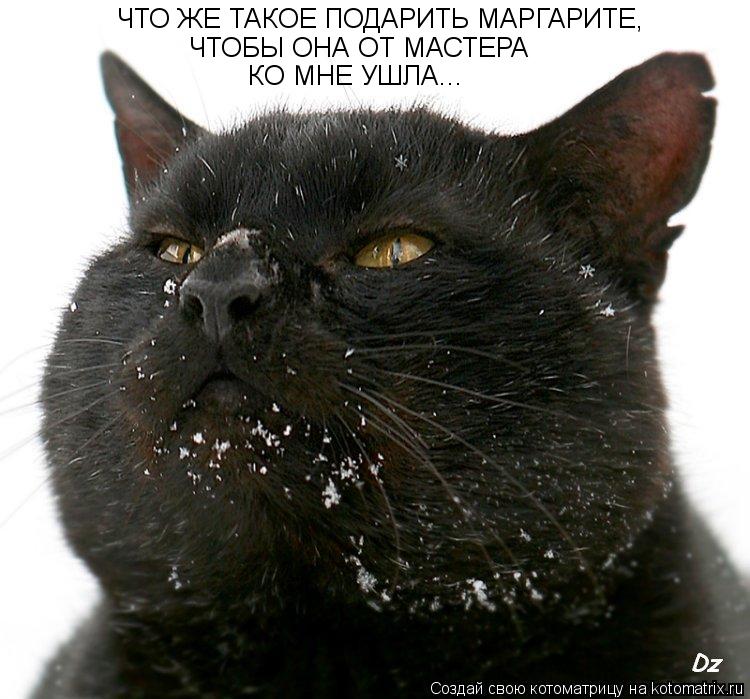 Котоматрица: ЧТО ЖЕ ТАКОЕ ПОДАРИТЬ МАРГАРИТЕ, ЧТОБЫ ОНА ОТ МАСТЕРА КО МНЕ УШЛА...