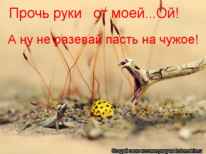 Котоматрица: Прочь руки   от моей...Ой! А ну не разевай пасть на чужое!
