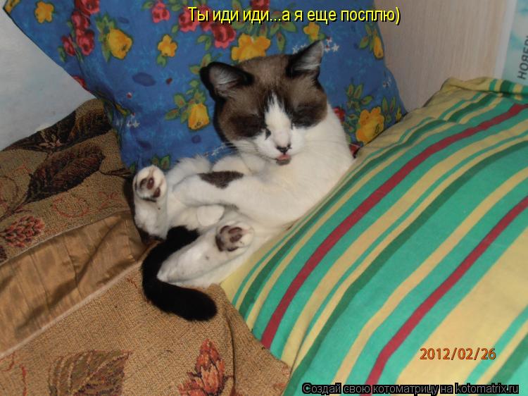 Ты иди иди...а я еще посплю)... Котоматрица: Ты иди иди...а я еще посплю)