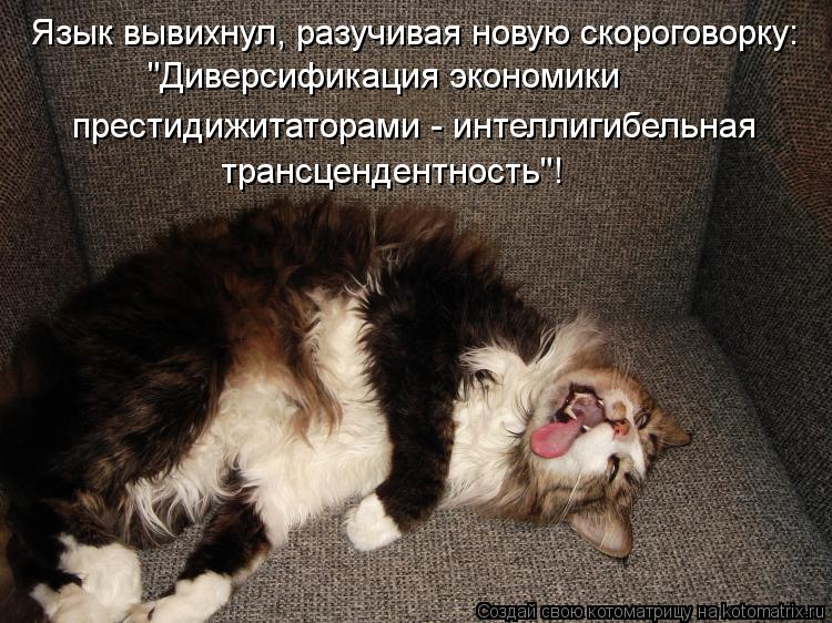 Язык вывихнул, разучивая новую скороговорку: "Диверсификация экономики престидижитаторами - интеллиг... Котоматрица: Язык вывихнул, разучивая новую скороговорку: "Диверсификация экономики престидижитаторами - интеллигибельная трансцендентность"!