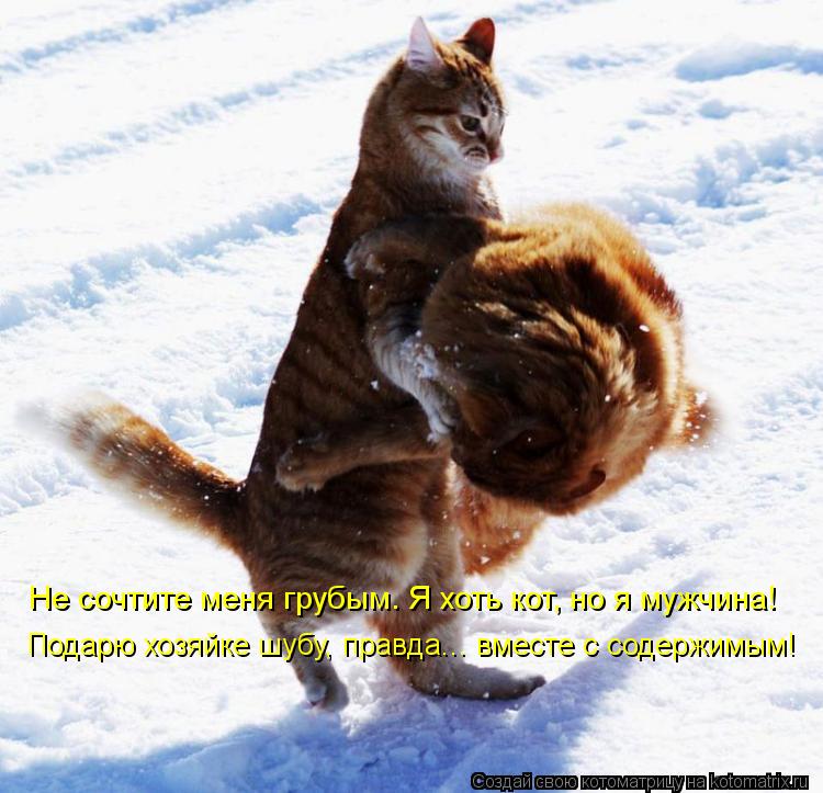 Не сочтите меня грубым. Я хоть кот, но я мужчина! Подарю хозяйке шубу, правда... вместе с содержимы... Котоматрица: Не сочтите меня грубым. Я хоть кот, но я мужчина! Подарю хозяйке шубу, правда... вместе с содержимым!