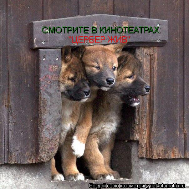 СМОТРИТЕ В КИНОТЕАТРАХ: "ЦЕРБЕР ЖИВ"... Котоматрица: СМОТРИТЕ В КИНОТЕАТРАХ: "ЦЕРБЕР ЖИВ"