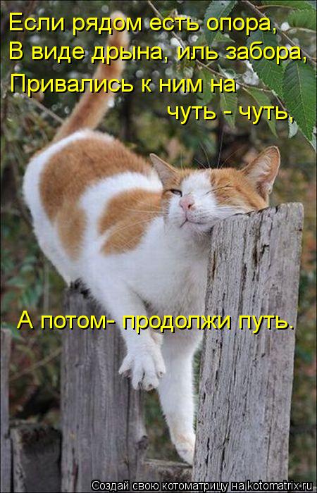 В виде дрына, иль забора, Привались к ним на А потом- продолжи путь. Если рядом есть опора, чуть - ... Котоматрица: В виде дрына, иль забора, Привались к ним на А потом- продолжи путь. Если рядом есть опора, чуть - чуть,