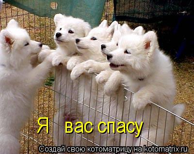Я вас спасу... Котоматрица: Я вас спасу