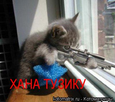 ХАНА ТУЗИКУ... Котоматрица: ХАНА ТУЗИКУ