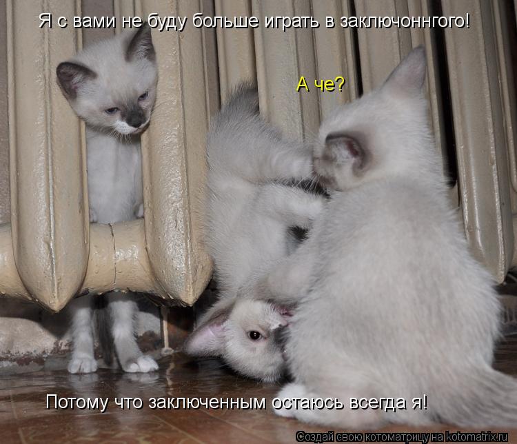 Я с вами не буду больше играть в заключоннгого! А че? Потому что заключенным остаюсь всегда я!... Котоматрица: Я с вами не буду больше играть в заключоннгого! А че? Потому что заключенным остаюсь всегда я!