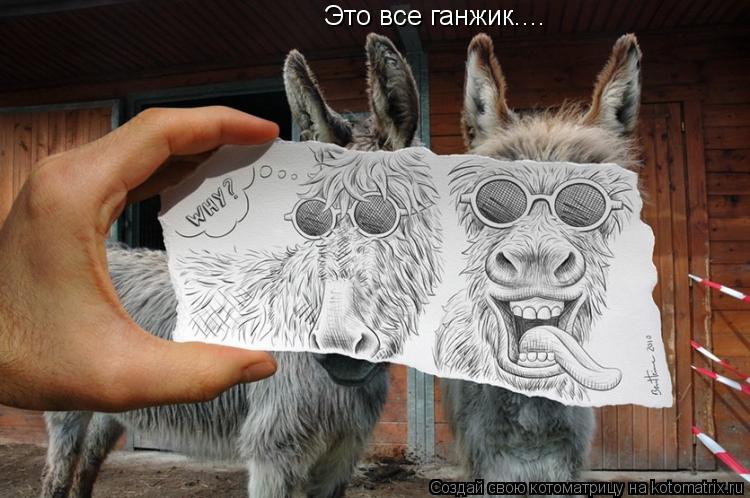 Это все ганжик....... Котоматрица: Это все ганжик....
