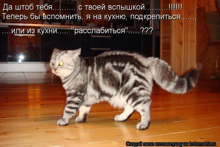 Да штоб тебя.......... с твоей вспышкой..........!!!!!! Теперь бы вспомнить, я на кухню, подкрепиться... Котоматрица: Да штоб тебя.......... с твоей вспышкой..........!!!!!! Теперь бы вспомнить, я на кухню, подкрепиться......, ....или из кухни..... "расслабиться".....