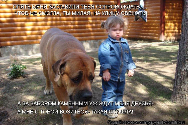 ОПЯТЬ МЕНЯ ЗАСТАВИЛИ ТЕБЯ СОПРОВОЖДАТЬ..... ЧТОБ НЕ СМОГЛА, ТЫ МИЛАЯ, НА УЛИЦУ СБЕЖАТЬ! А ЗА ЗАБОРОМ ... Котоматрица: ОПЯТЬ МЕНЯ ЗАСТАВИЛИ ТЕБЯ СОПРОВОЖДАТЬ..... ЧТОБ НЕ СМОГЛА, ТЫ МИЛАЯ, НА УЛИЦУ СБЕЖАТЬ! А ЗА ЗАБОРОМ КАМЕННЫМ УЖ ЖДУТ МЕНЯ ДРУЗЬЯ- А МНЕ С ТОБОЙ