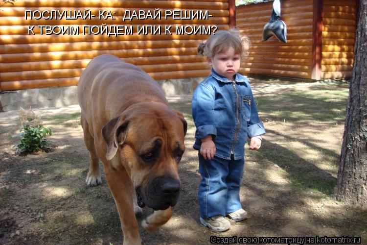ПОСЛУШАЙ- КА: ДАВАЙ РЕШИМ- К ТВОИМ ПОЙДЕМ ИЛИ К МОИМ?... Котоматрица: ПОСЛУШАЙ- КА: ДАВАЙ РЕШИМ- К ТВОИМ ПОЙДЕМ ИЛИ К МОИМ?