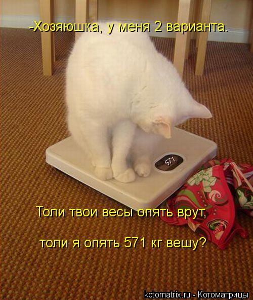 571 -Хозяюшка, у меня 2 варианта. Толи твои весы опять врут, толи я опять 571 кг вешу?... Котоматрица: 571 -Хозяюшка, у меня 2 варианта. Толи твои весы опять врут, толи я опять 571 кг вешу?