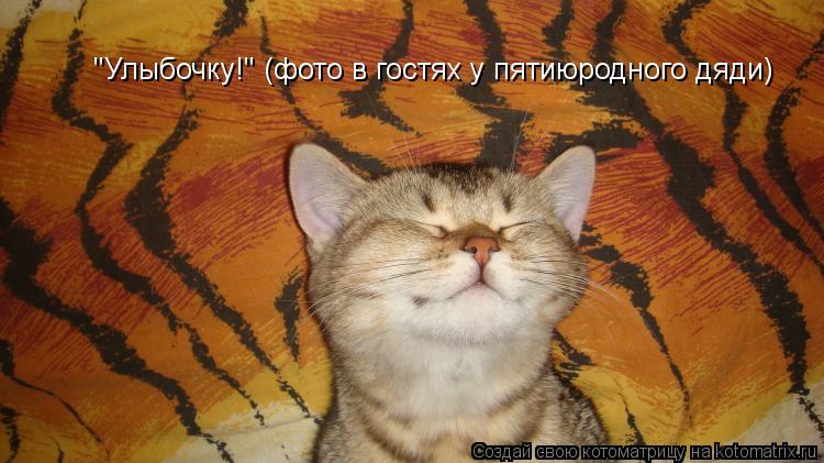 "Улыбочку!" (фото в гостях у пятиюродного дяди)... Котоматрица: "Улыбочку!" (фото в гостях у пятиюродного дяди)