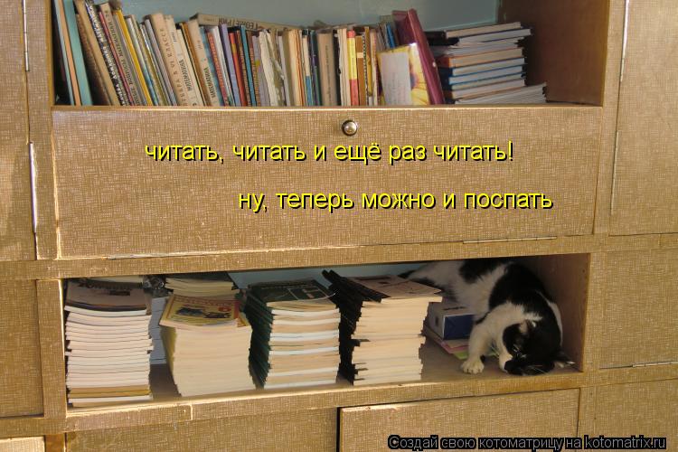 читать, читать и ещё раз читать! ну, теперь можно и поспать... Котоматрица: читать, читать и ещё раз читать! ну, теперь можно и поспать
