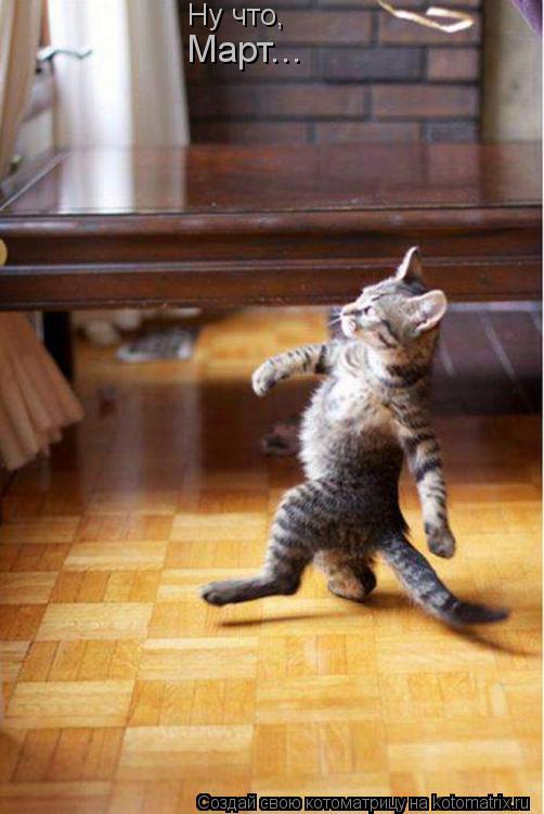 Ну что, Март...... Котоматрица: Ну что, Март...