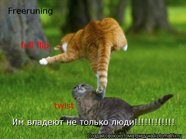 Freeruning Им владеют не только люди!!!!!!!!!!!! full flip twist... Котоматрица: Freeruning Им владеют не только люди!!!!!!!!!!!! full flip twist