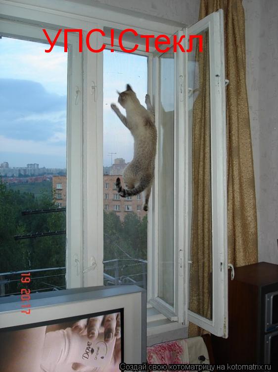 УПС!Стекл... Котоматрица: УПС!Стекл