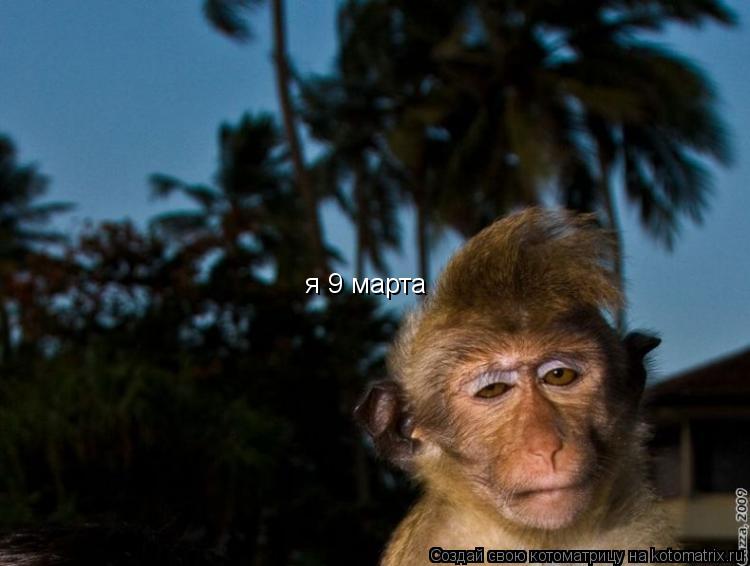 я 9 марта... Котоматрица: я 9 марта