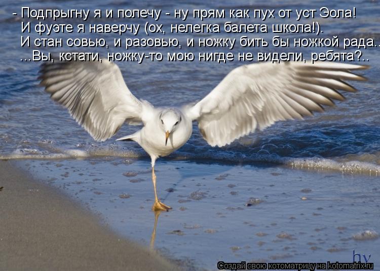 - Подпрыгну я и полечу - ну прям как пух от уст Эола! И фуэте я наверчу (ох, нелегка балета школа!). ... Котоматрица: - Подпрыгну я и полечу - ну прям как пух от уст Эола! И фуэте я наверчу (ох, нелегка балета школа!). И стан совью, и разовью, и ножку бить бы ножко