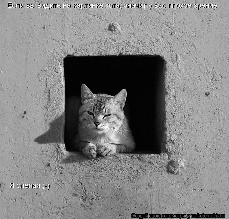 Если вы видите на картинке кота, значит у вас плохое зрение Я слепая ;-)... Котоматрица: Если вы видите на картинке кота, значит у вас плохое зрение Я слепая ;-)