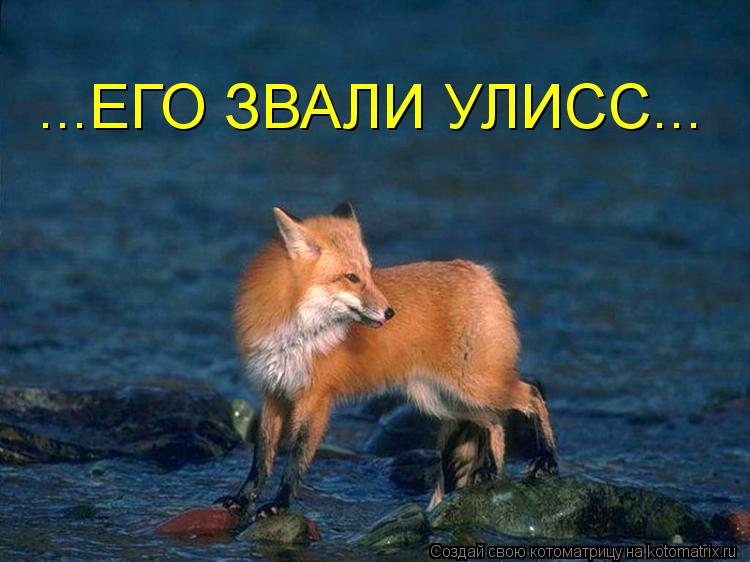 ...ЕГО ЗВАЛИ УЛИСС...... Котоматрица: ...ЕГО ЗВАЛИ УЛИСС...
