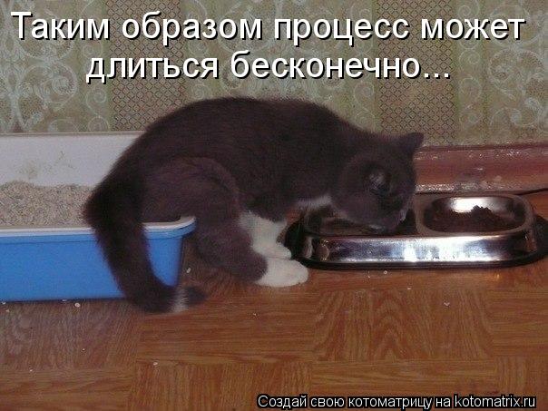 Таким образом процесс может длиться бесконечно...... Котоматрица: Таким образом процесс может длиться бесконечно...