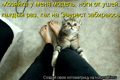 -Хозяйка у меня модель, ноги от ушей, каждый раз, как на Эверест забираюсь!!... Котоматрица: -Хозяйка у меня модель, ноги от ушей, каждый раз, как на Эверест забираюсь!!