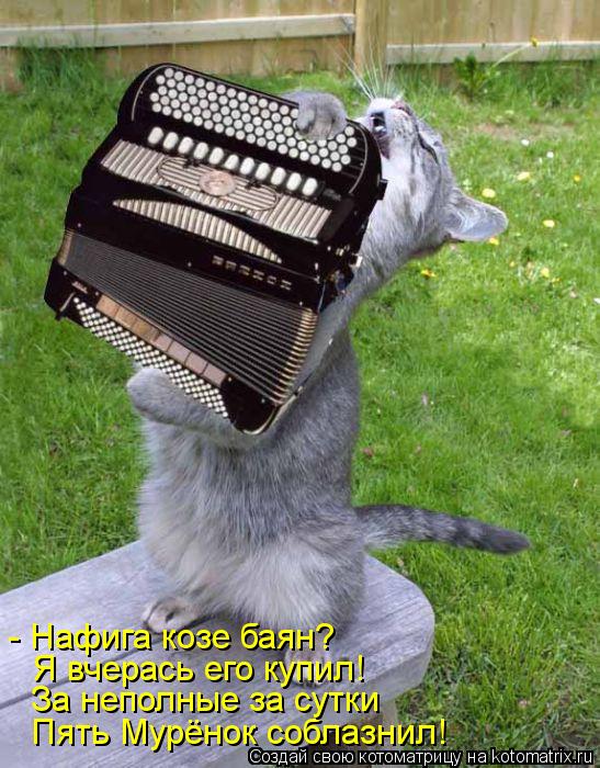 Пять Мурёнок соблазнил! За неполные за сутки Я вчерась его купил! - Нафига козе баян?... Котоматрица: Пять Мурёнок соблазнил! За неполные за сутки Я вчерась его купил! - Нафига козе баян?