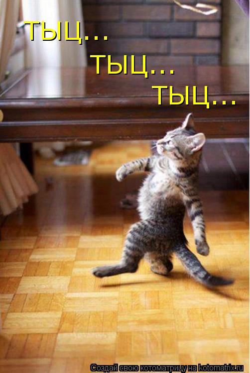 ТЫЦ... ТЫЦ... ТЫЦ...... Котоматрица: ТЫЦ... ТЫЦ... ТЫЦ...