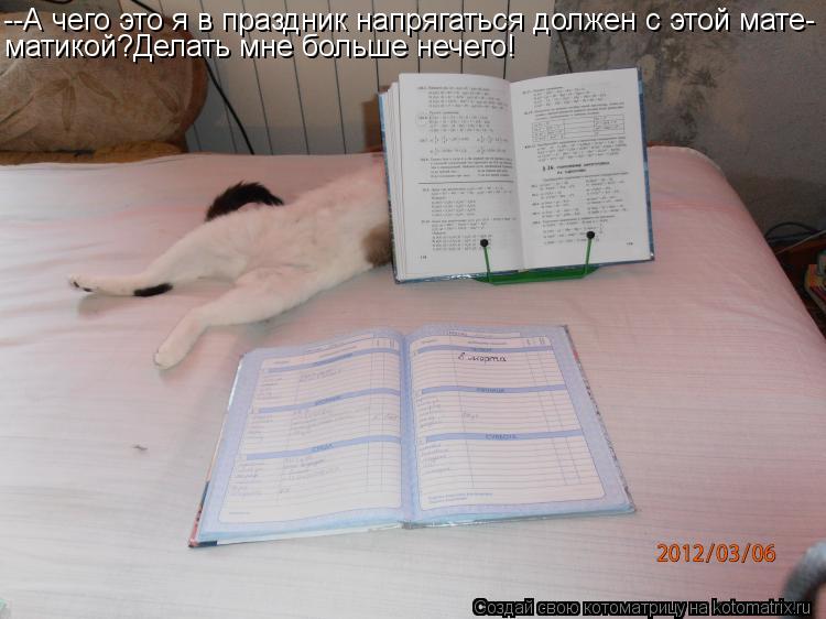 Котоматрица: --А чего это я в праздник напрягаться должен с этой мате- матикой?Делать мне больше нечего!
