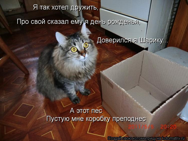 Котоматрица: Я так хотел дружить, Про свой сказал ему я день рожденья,  Доверился я Шарику... А этот пес Пустую мне коробку преподнес