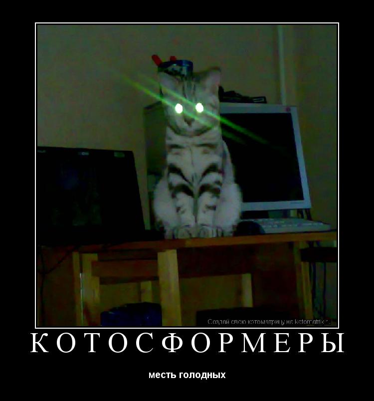 КОТОСФОРМЕРЫ месть голодных... Котоматрица: КОТОСФОРМЕРЫ месть голодных