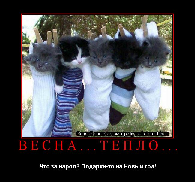 Весна...Тепло... Что за народ? Подарки-то на Новый год!... Котоматрица: Весна...Тепло... Что за народ? Подарки-то на Новый год!