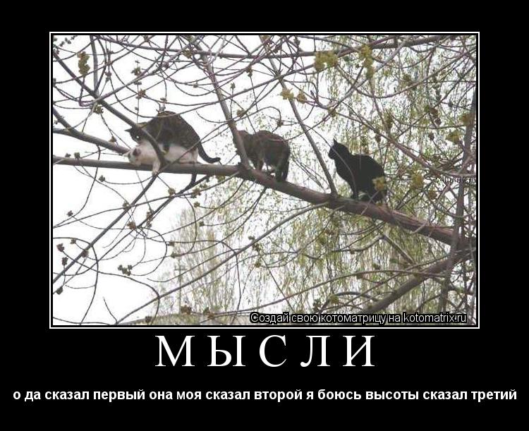 мысли о да сказал первый она моя сказал второй я боюсь высоты сказал третий... Котоматрица: мысли о да сказал первый она моя сказал второй я боюсь высоты сказал третий