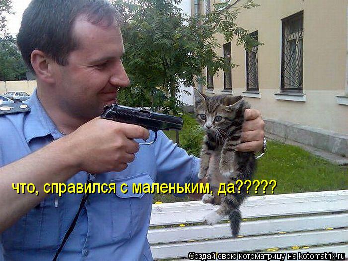что, справился с маленьким, да?????... Котоматрица: что, справился с маленьким, да?????