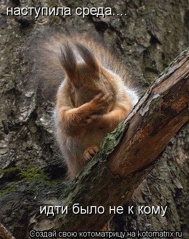 наступила среда.... идти было не к кому... Котоматрица: наступила среда.... идти было не к кому
